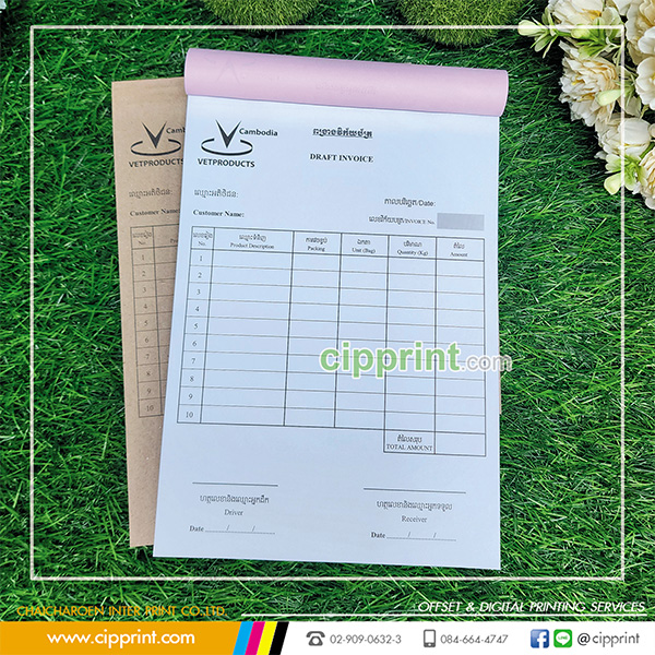 Foreign Language Bill Printing | Multilingual Documents | CIPPRINT